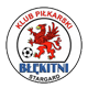 Błękitni Stargard
